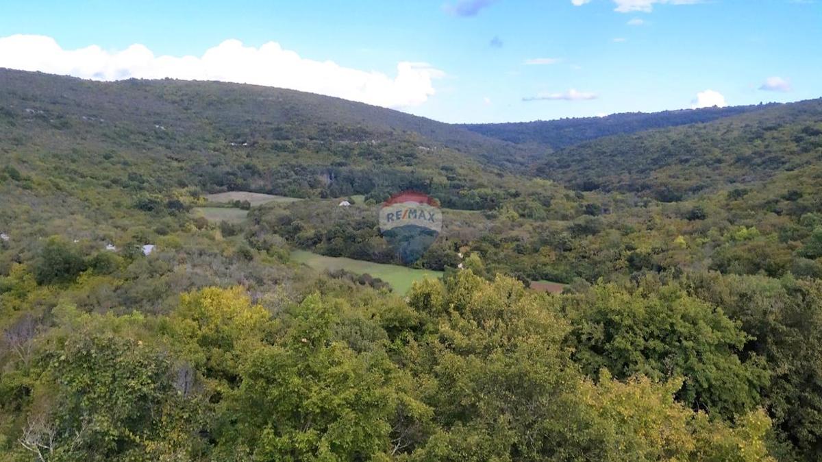 Terreno non edificabile Peruški, Marčana, 41.610m2
