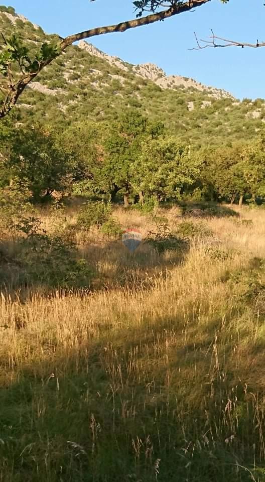 Terreno edificabile Karlobag, 1.260m2