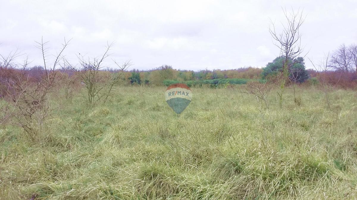 Terreno edificabile Umag, 975m2