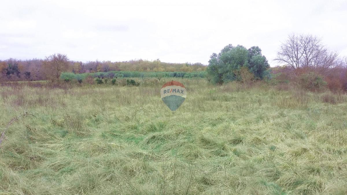 Terreno edificabile Umag, 975m2