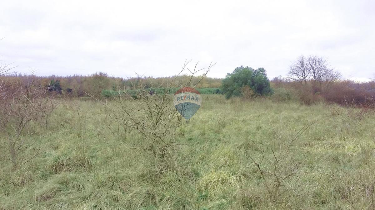 Terreno edificabile Umag, 975m2