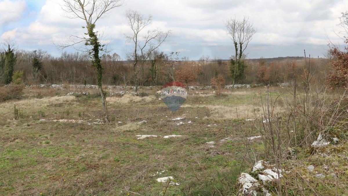 Terreno edificabile Tinjan, 605m2