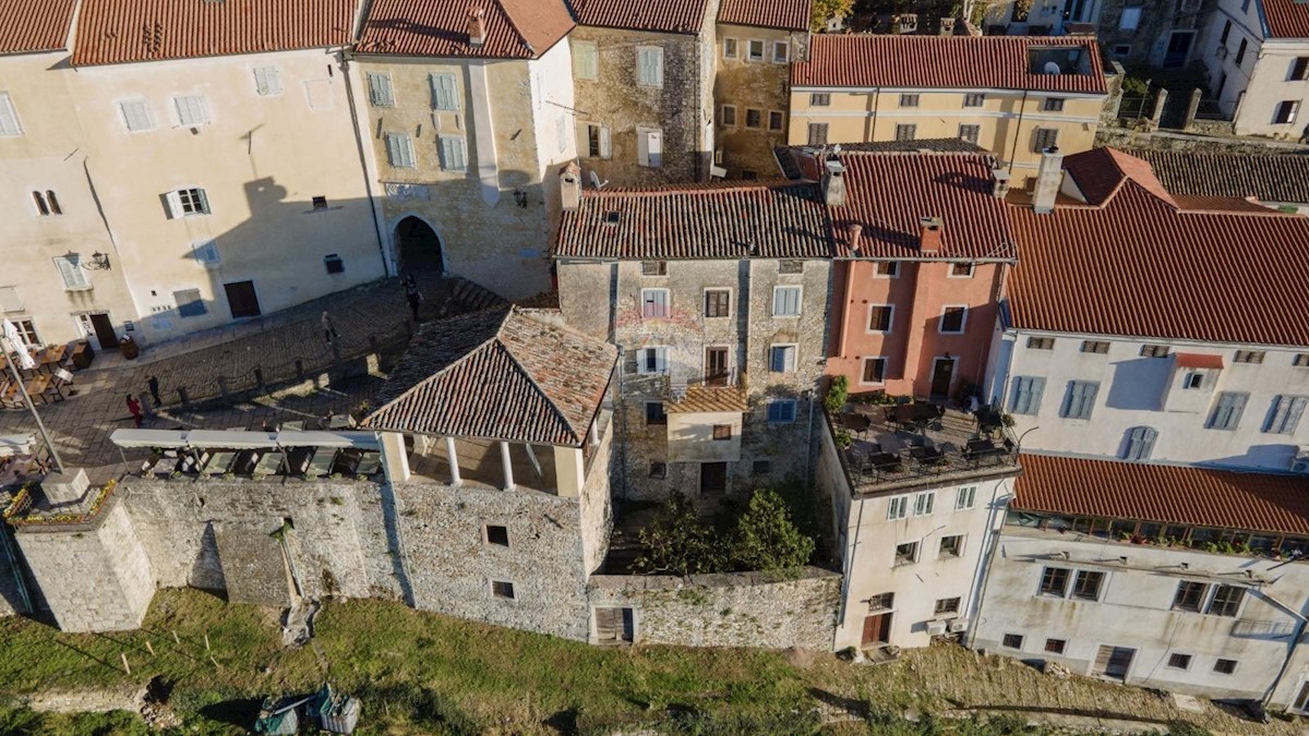 Villa Singola/Casa Vacanza Motovun, 250m2