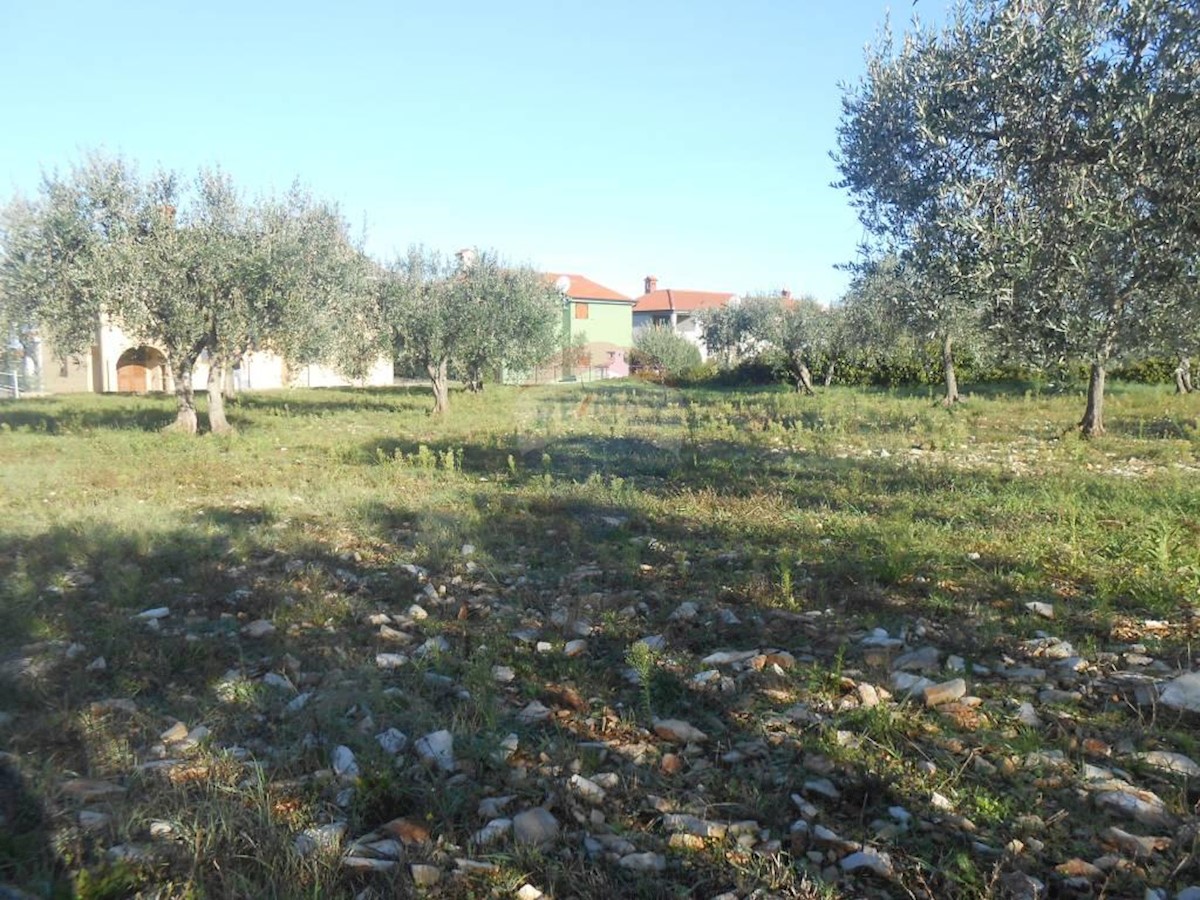 Terreno agricolo Galižana, Vodnjan, 5.144m2