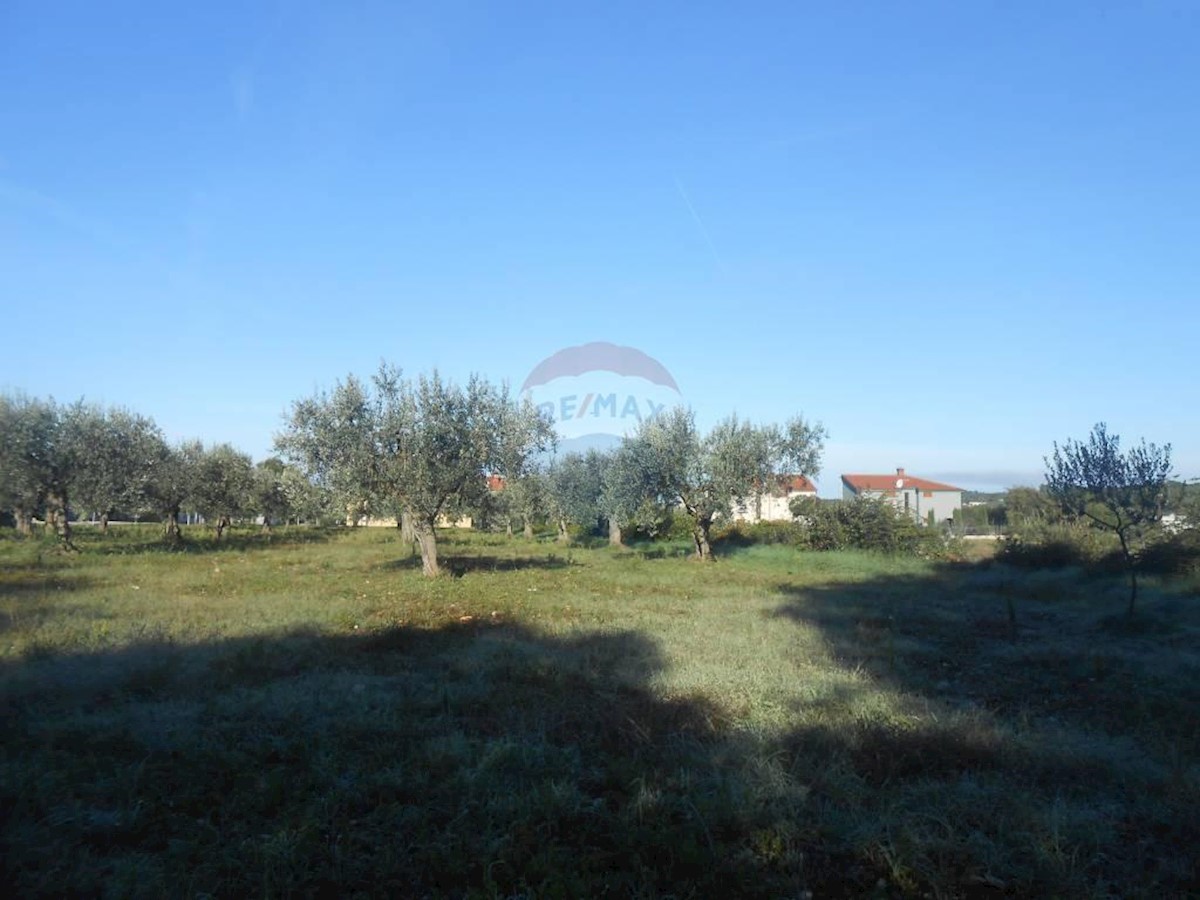 Terreno agricolo Galižana, Vodnjan, 5.144m2