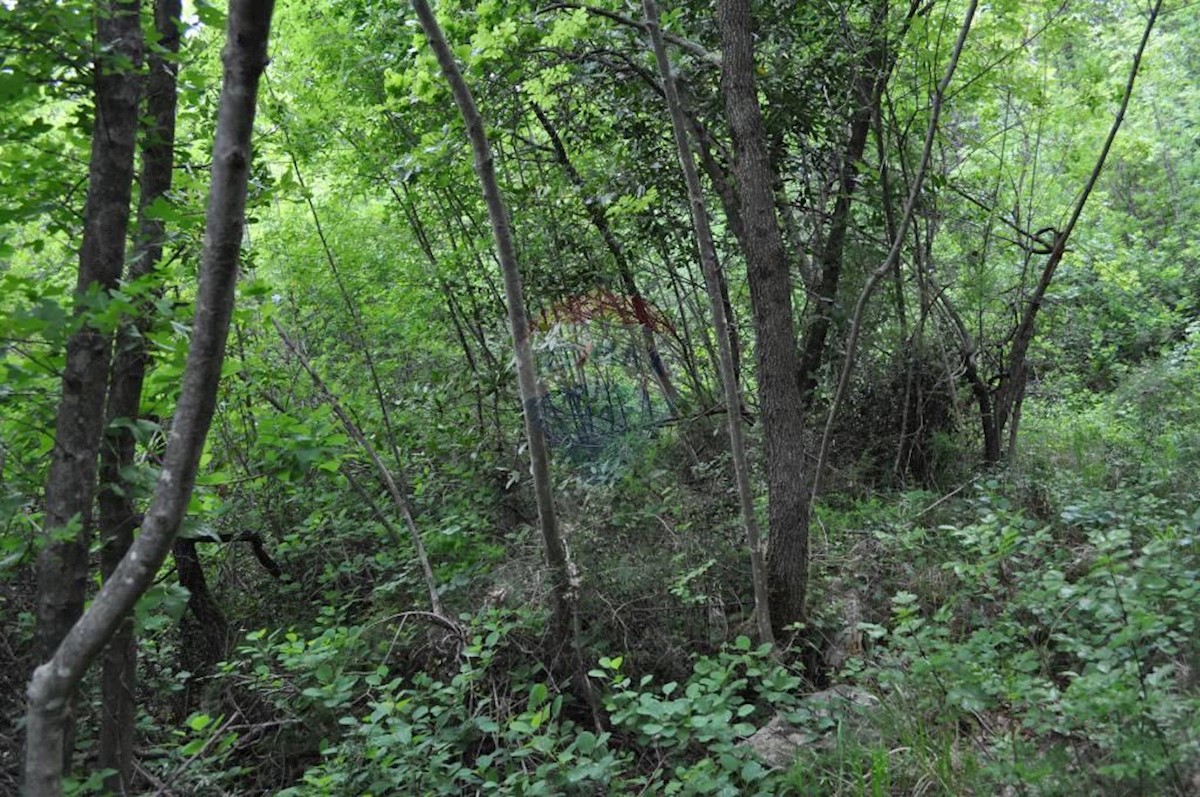 Terreno non edificabile Brseč, Mošćenička Draga, 3.201m2