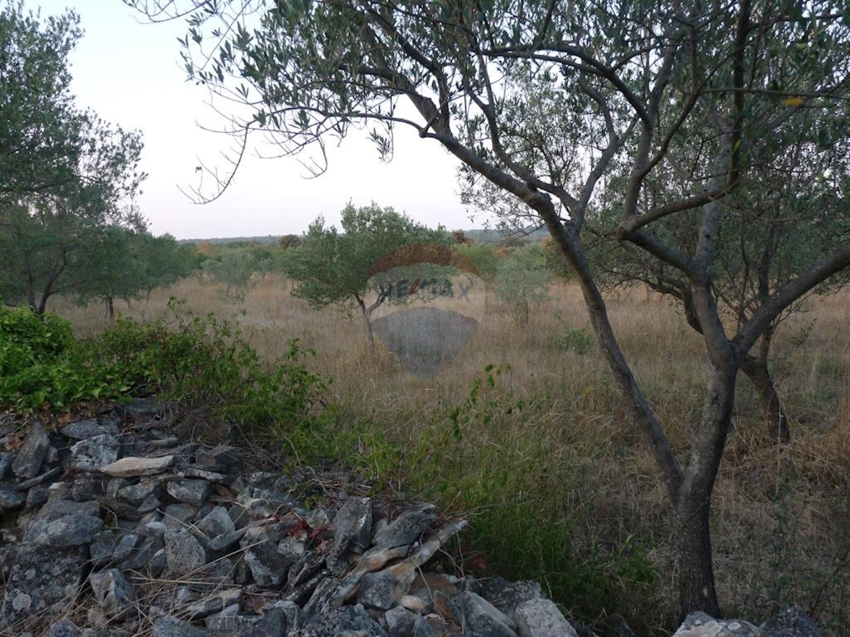 Terreno agricolo Fažana, 1.140m2