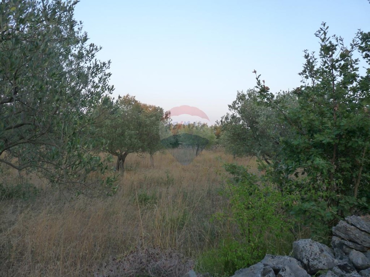 Terreno agricolo Fažana, 1.140m2