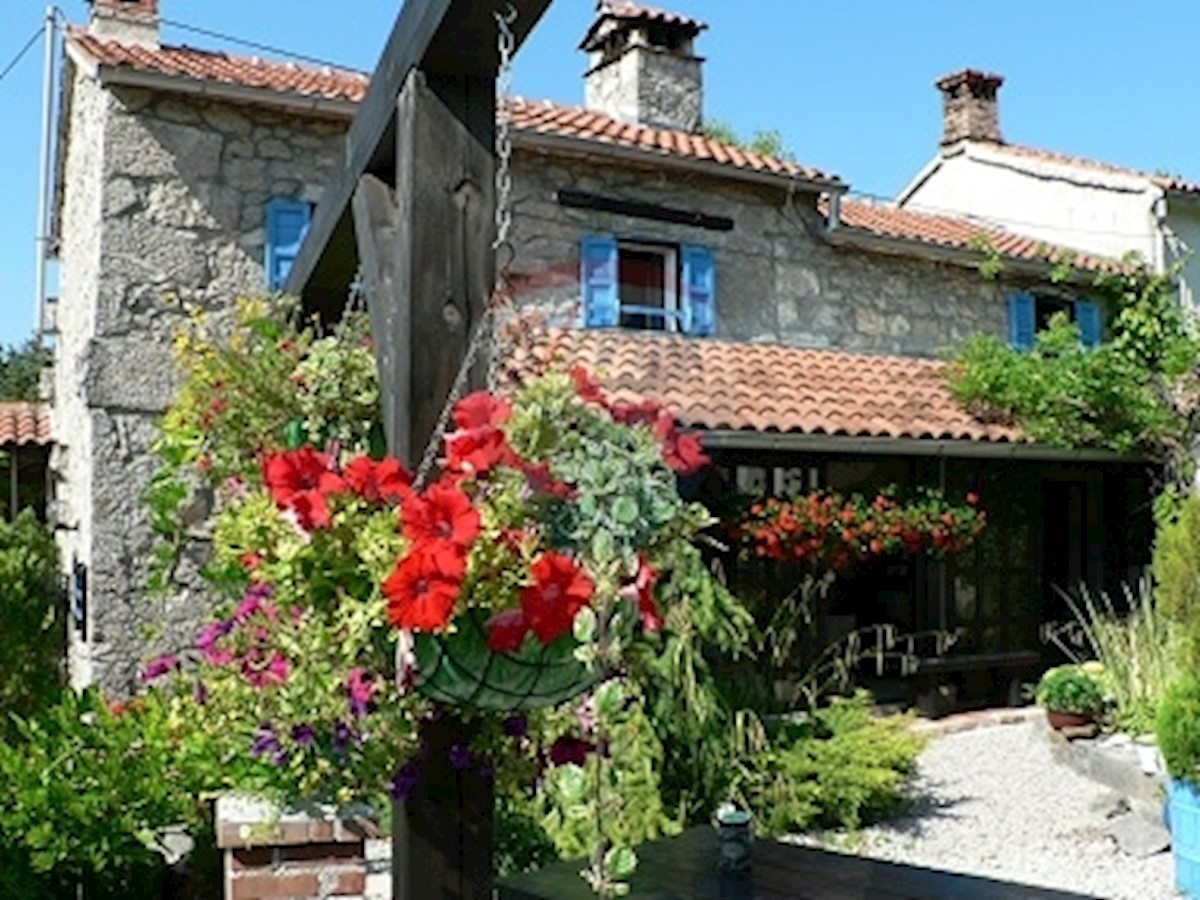 Villa Singola/Casa Vacanza Ročko Polje, Buzet, 500m2