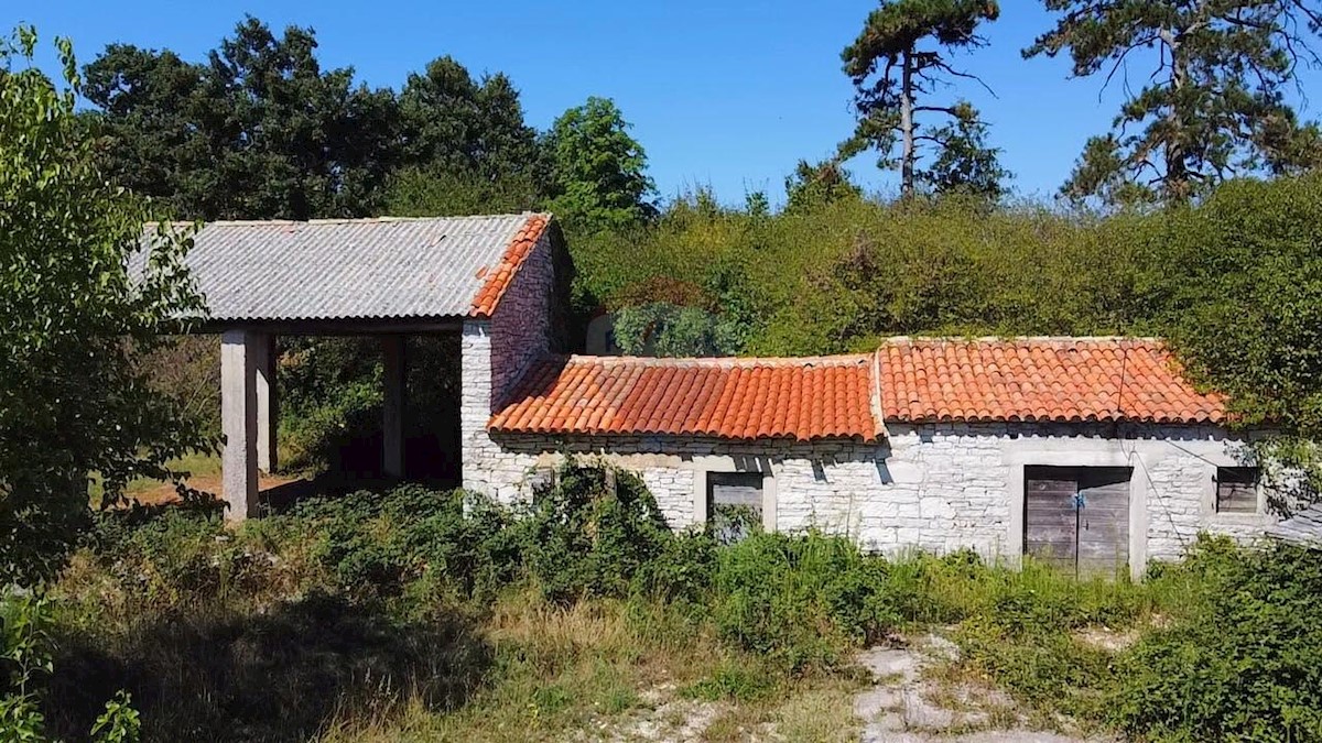 Villa Singola/Casa Vacanza Cere, Žminj, 450m2