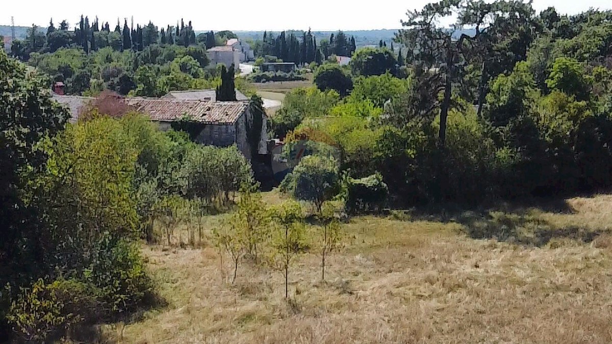 Villa Singola/Casa Vacanza Cere, Žminj, 450m2