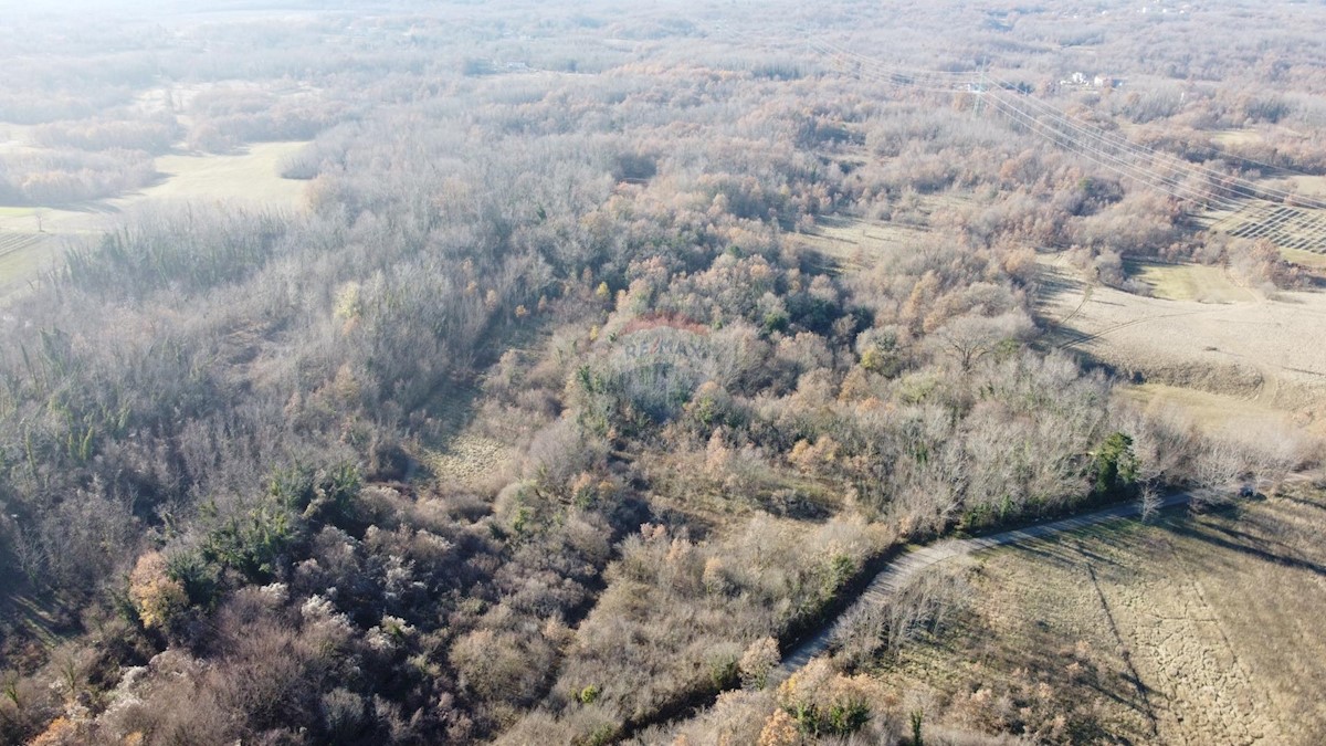 Terreno non edificabile Nedešćina, Sveta Nedelja, 16.959m2