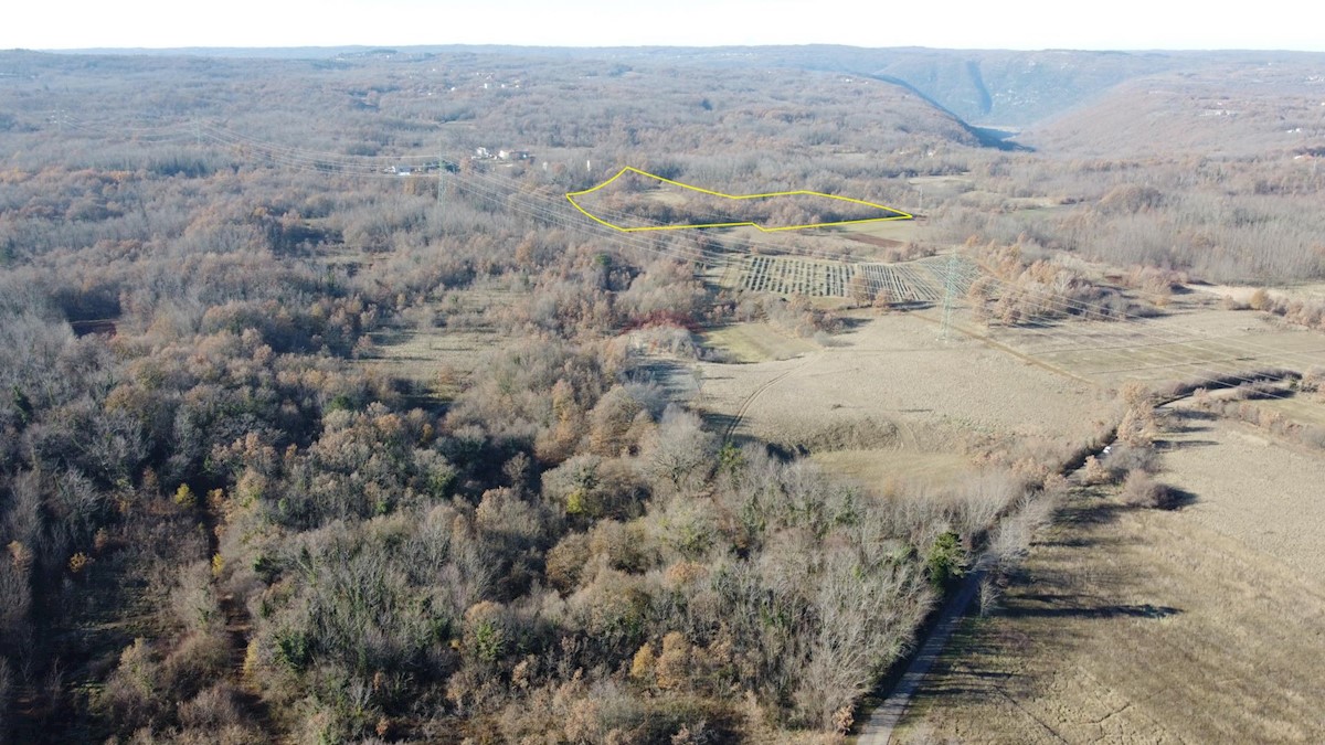 Terreno non edificabile Nedešćina, Sveta Nedelja, 16.959m2