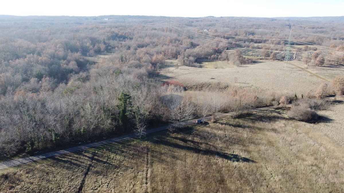 Terreno non edificabile Nedešćina, Sveta Nedelja, 16.959m2