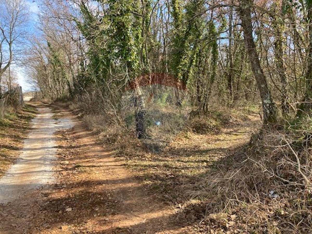 Terreno non edificabile Žbandaj, Poreč, 20.000m2