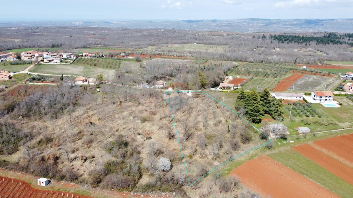 Terreno edificabile Baldaši, Vižinada, 8.770m2