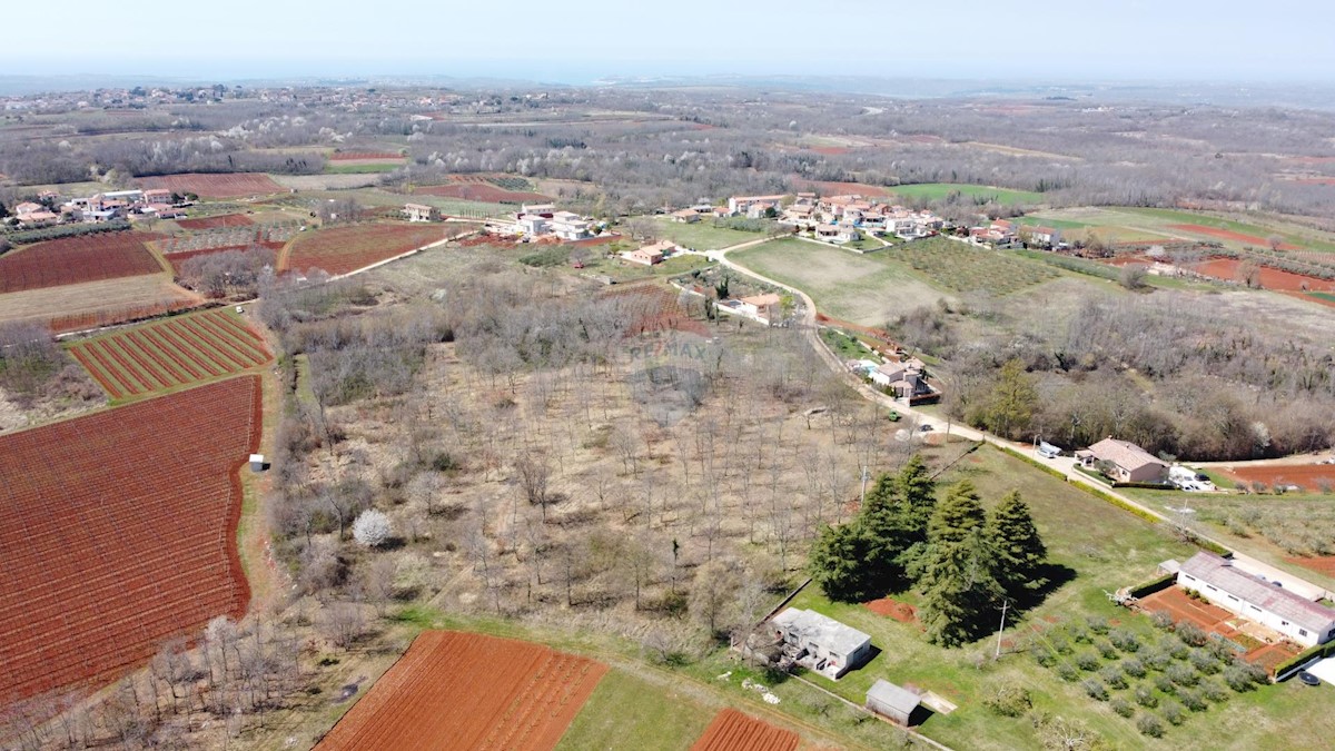 Terreno edificabile Baldaši, Vižinada, 8.770m2