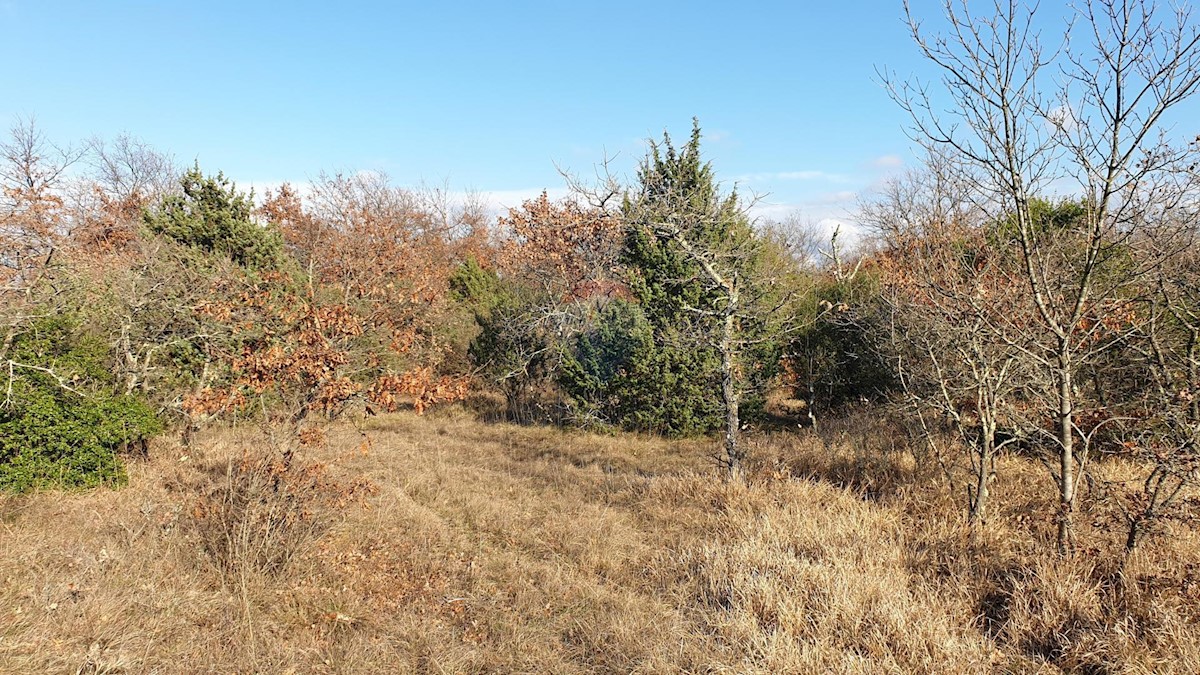 Terreno non edificabile Juršići, Svetvinčenat, 19.770m2