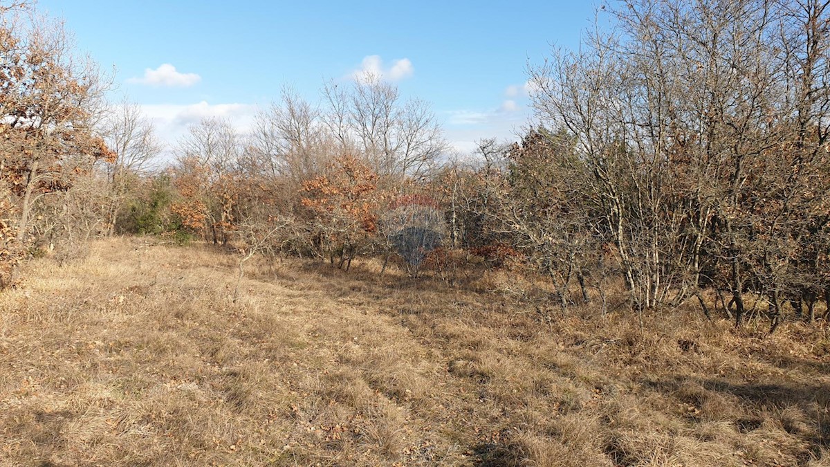 Terreno non edificabile Juršići, Svetvinčenat, 19.770m2