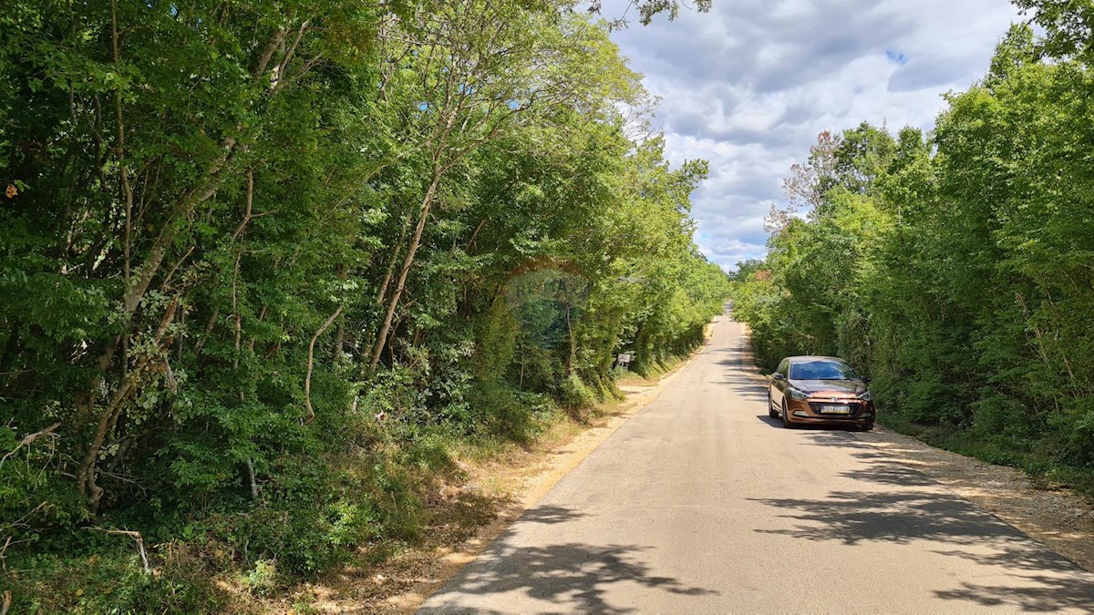 Terreno non edificabile Marasi, Sveti Lovreč, 12.750m2