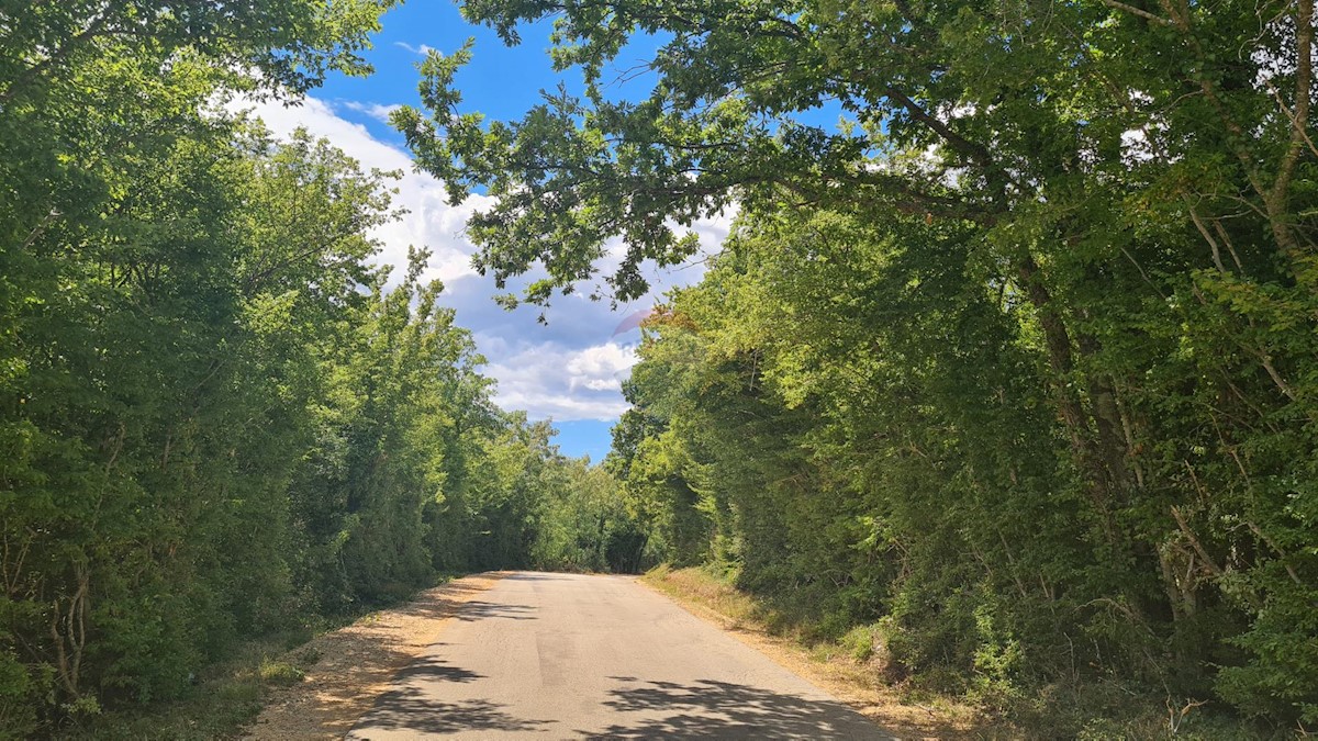Terreno non edificabile Marasi, Sveti Lovreč, 12.750m2