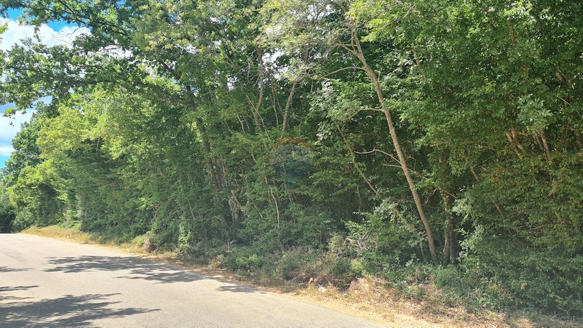 Terreno non edificabile Marasi, Sveti Lovreč, 12.750m2