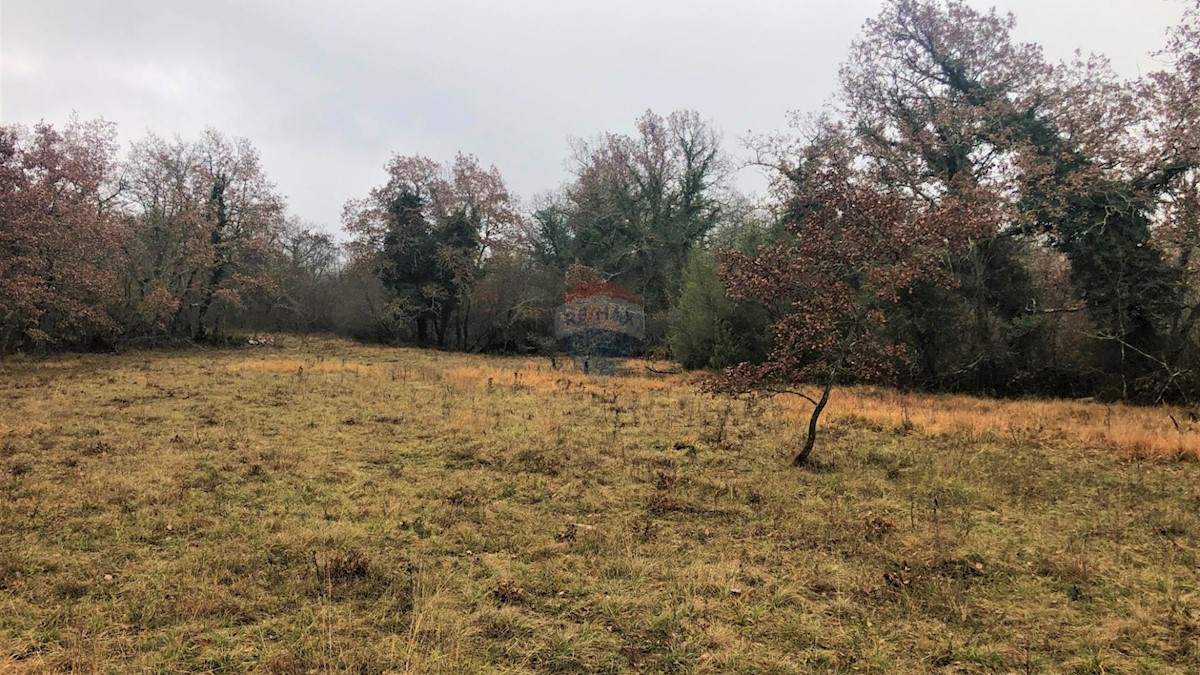 Istria, dintorni di Grisignana, terreno edificabile