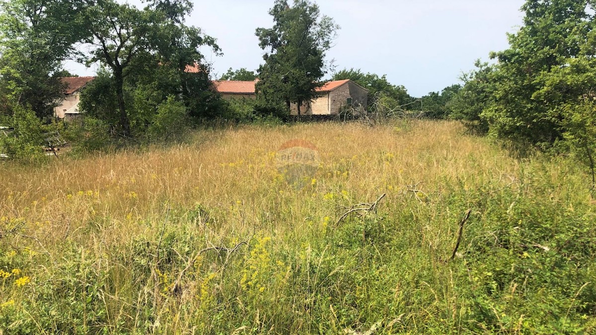 Istria, dintorni di Grisignana, terreno edificabile