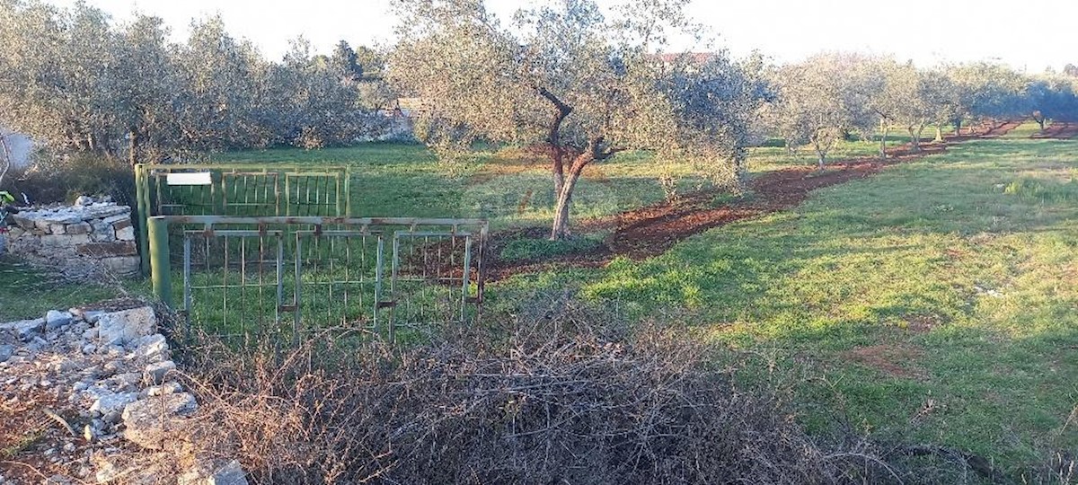 Terreno non edificabile Fažana, 2.370m2