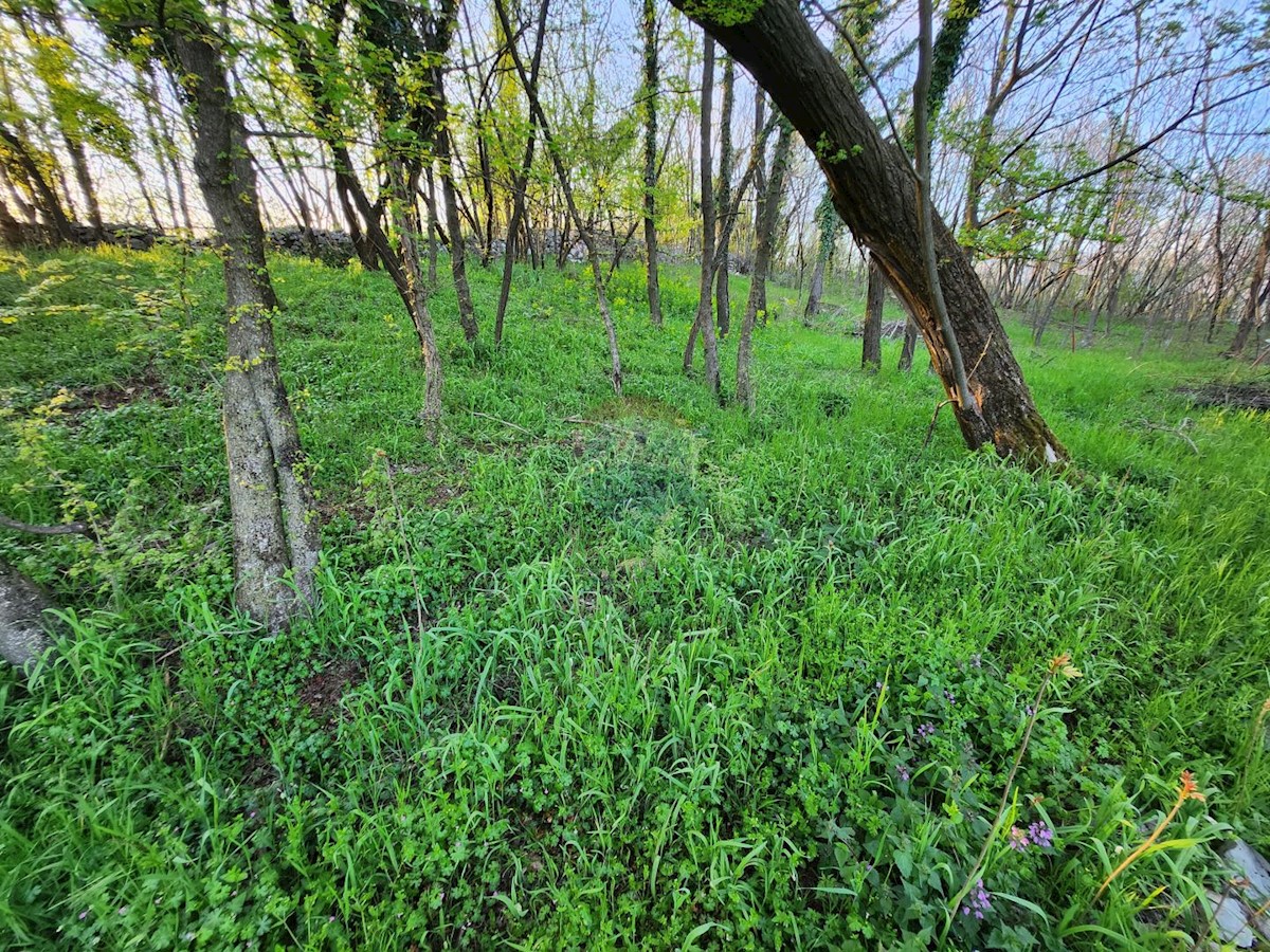 Terreno edificabile Zastenice, Čavle, 1.077m2