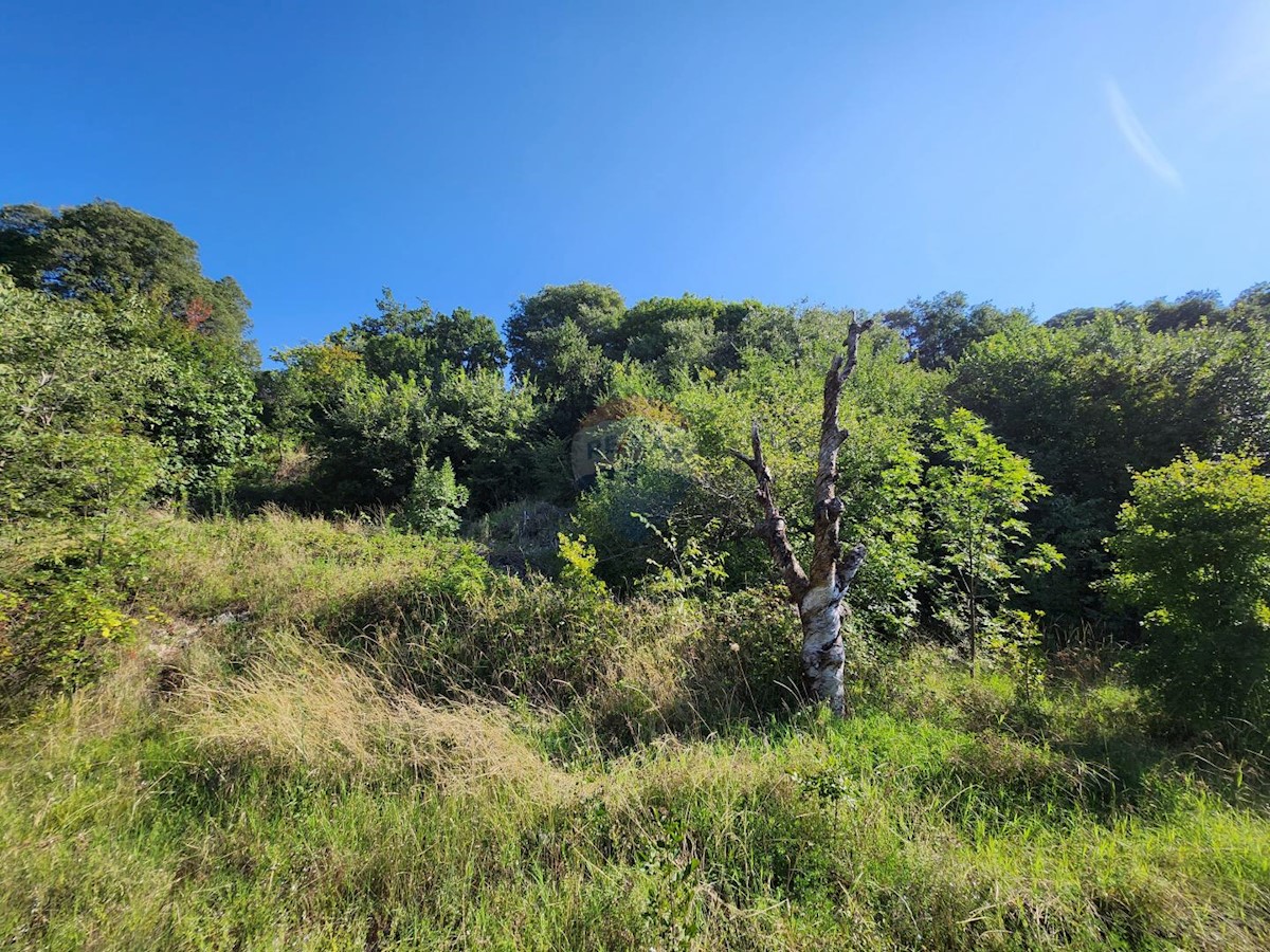 Terreno edificabile Draga, Rijeka, 1.278m2