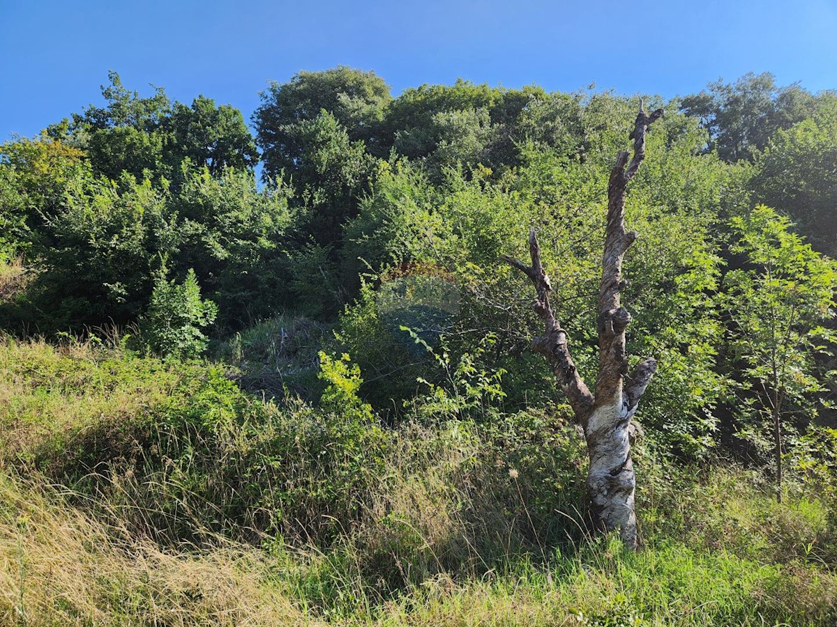 Terreno edificabile Draga, Rijeka, 1.278m2