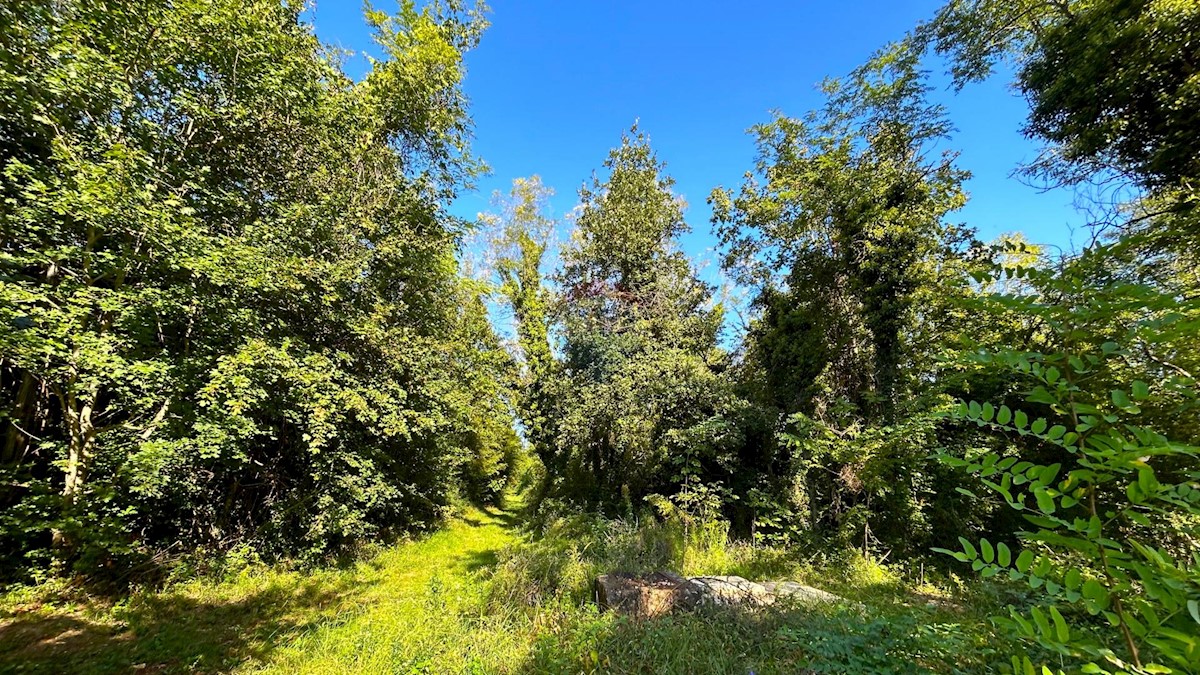Terreno non edificabile Juricani, Umag, 5.110m2