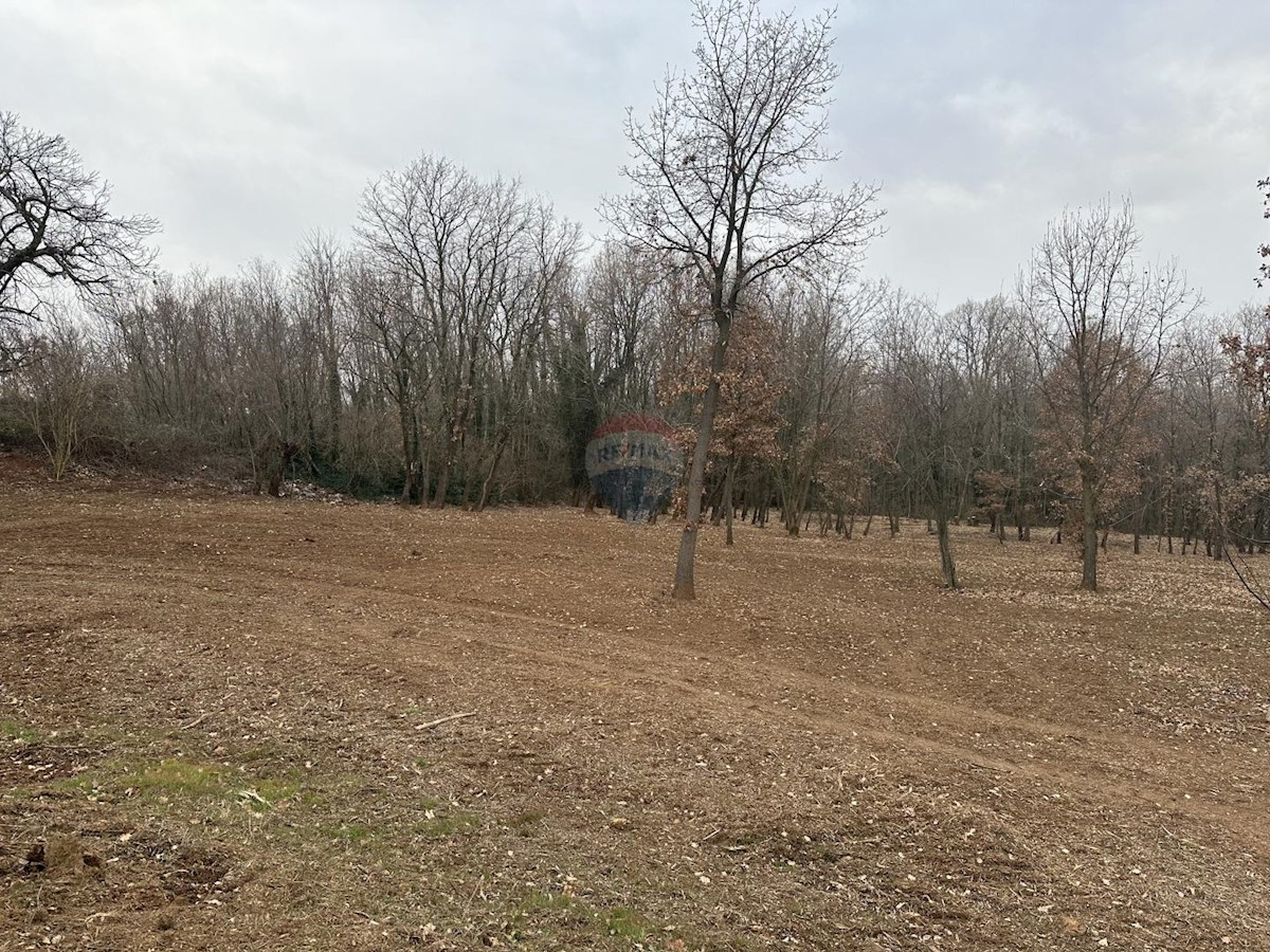 ISTRIA, LABIN - Building plot 5700 m2 in a secluded area