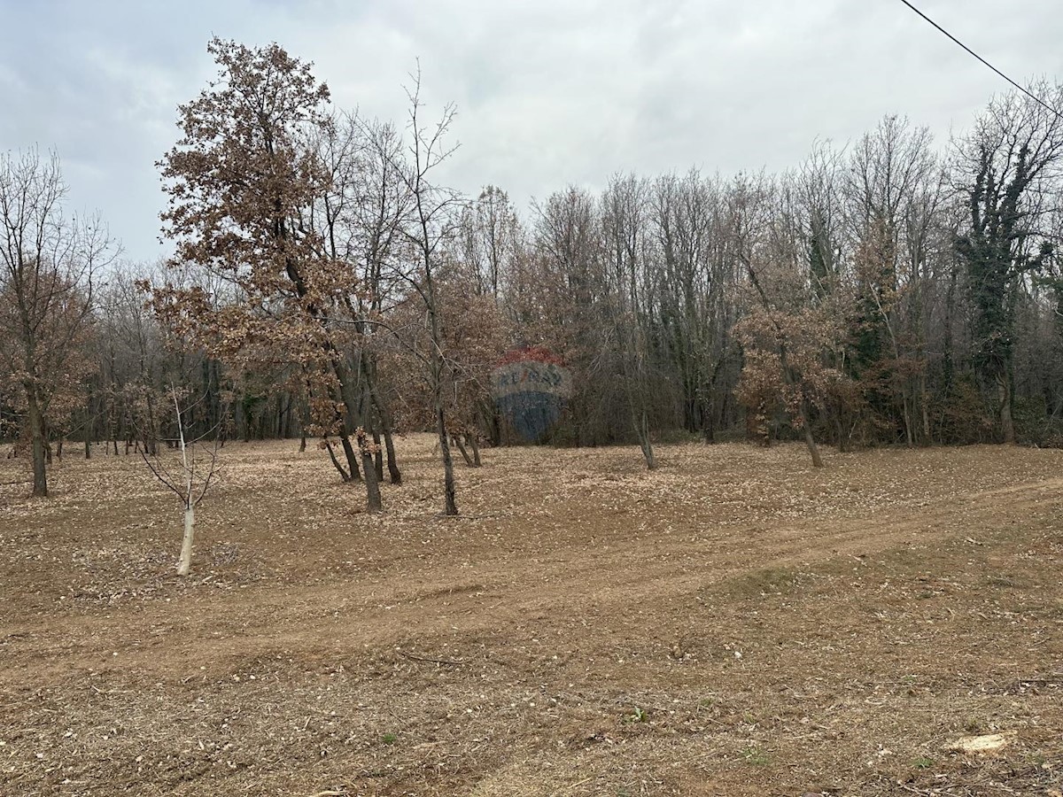 ISTRIA, LABIN - Building plot 5700 m2 in a secluded area