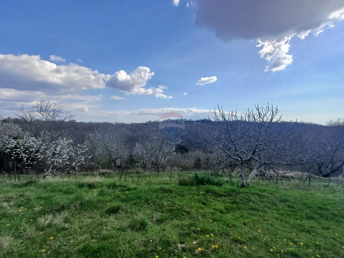 Casa Kućibreg, Buje, 120m2