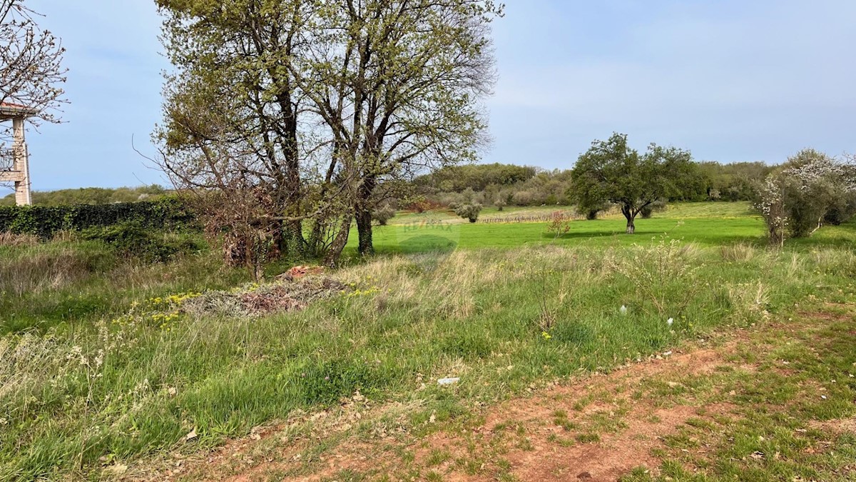 Terreno edificabile Brtonigla, 1.274m2