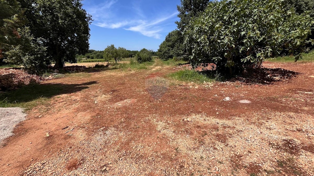 Terreno edificabile Brtonigla, 1.274m2