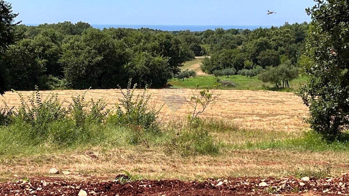 Terreno edificabile Brtonigla, 1.274m2