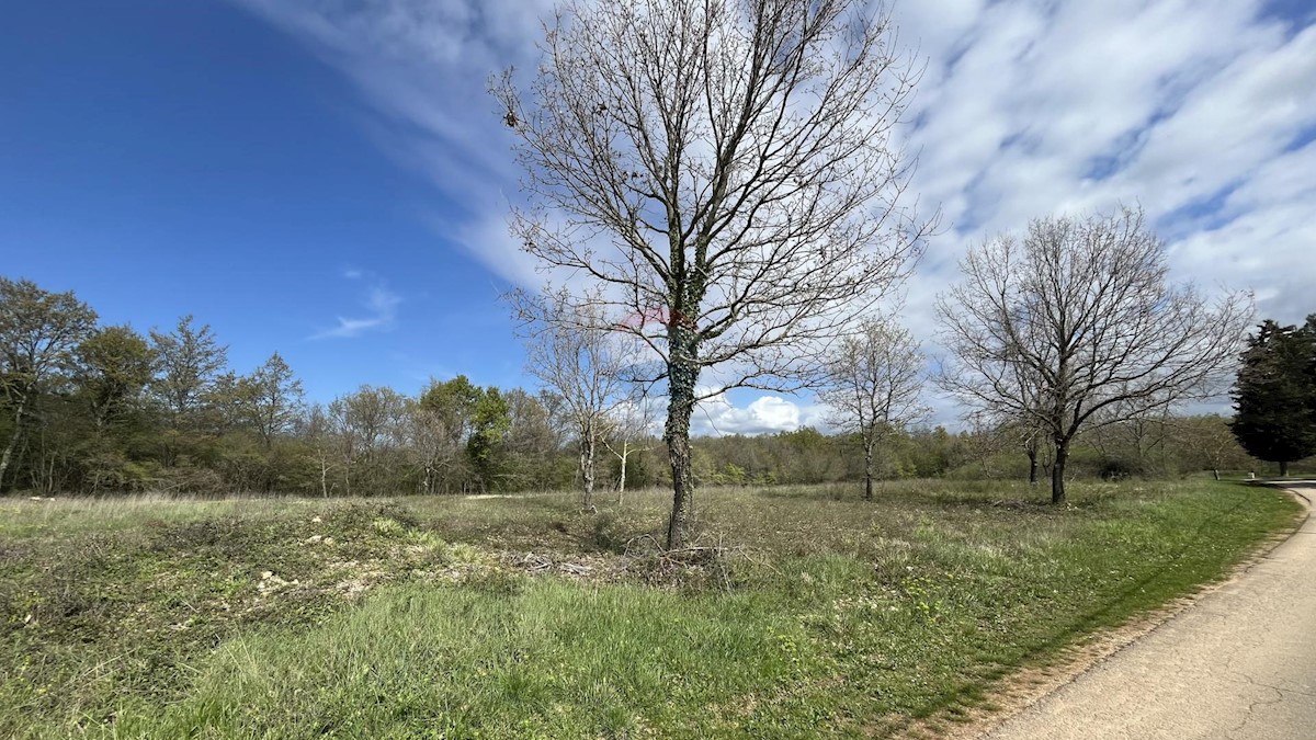 Terreno edificabile Sveti Lovreč, 602m2