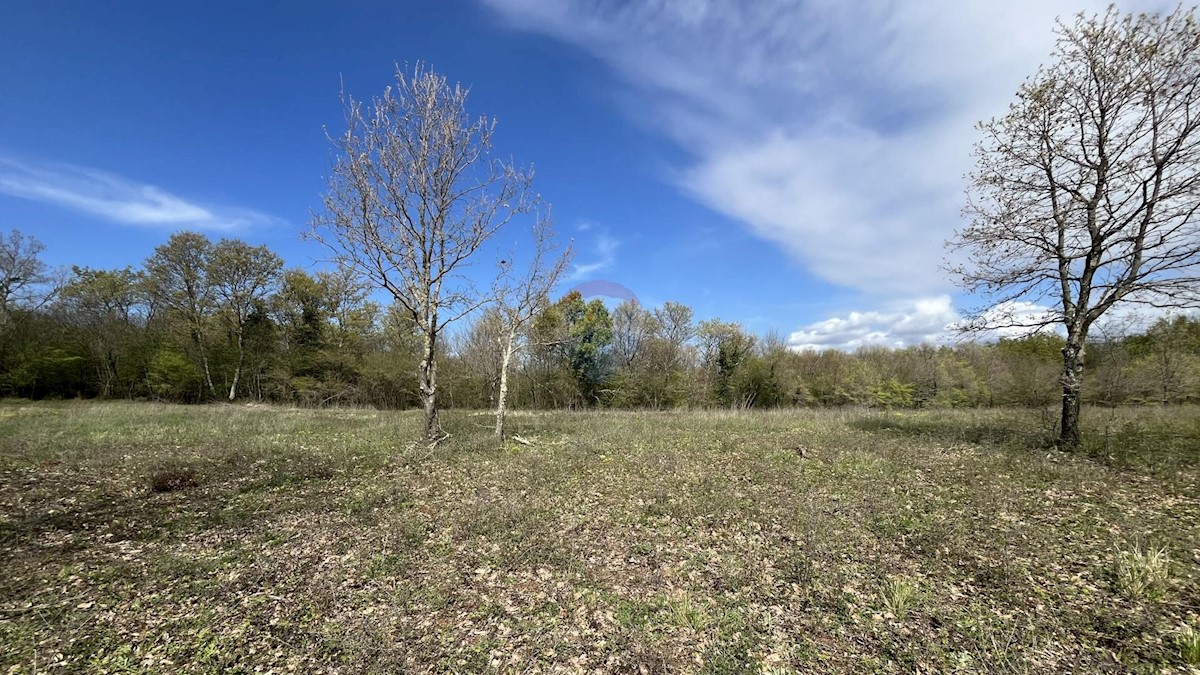 Terreno edificabile Sveti Lovreč, 602m2