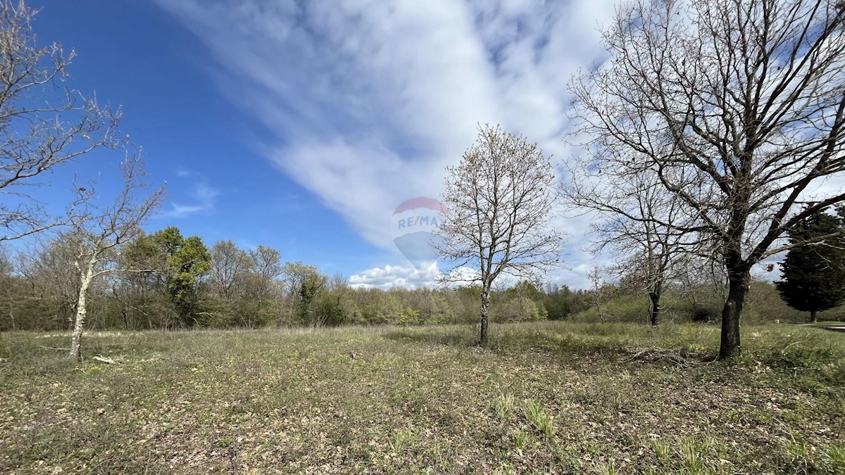 Terreno edificabile Sveti Lovreč, 602m2