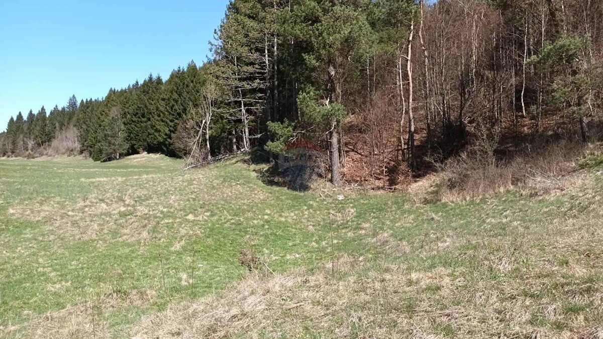 Terreno edificabile Sunger, Mrkopalj, 4.571m2