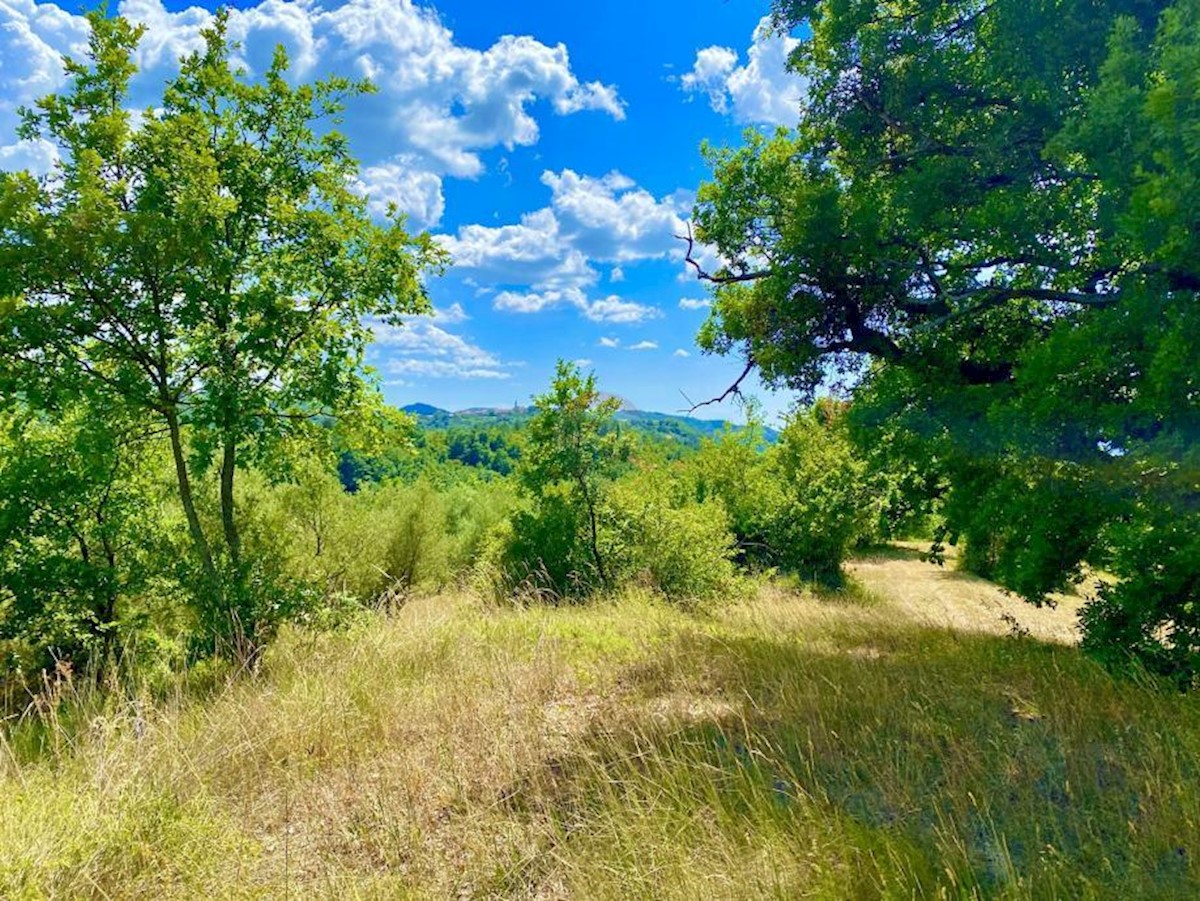 Terreno edificabile Draguć, Cerovlje, 2.257m2