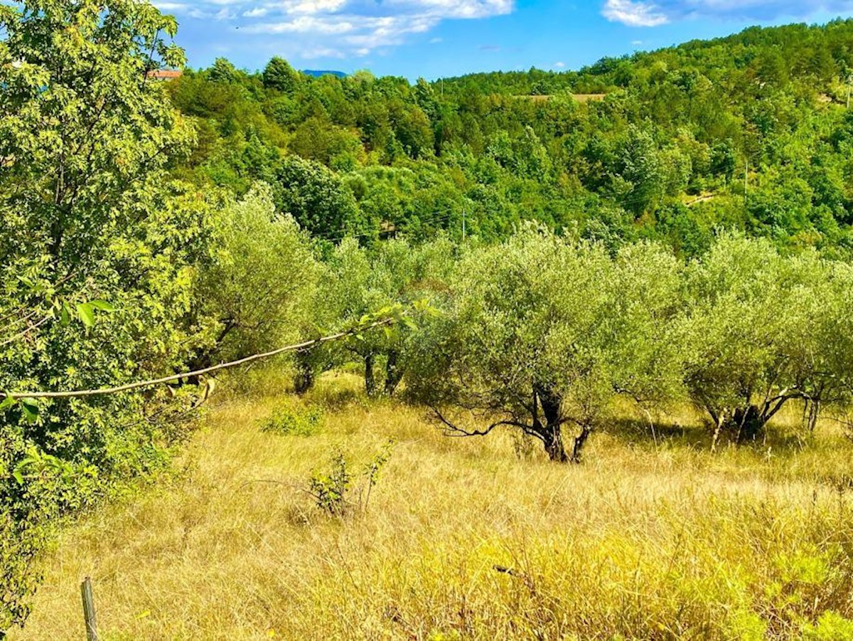 Terreno edificabile Draguć, Cerovlje, 2.257m2