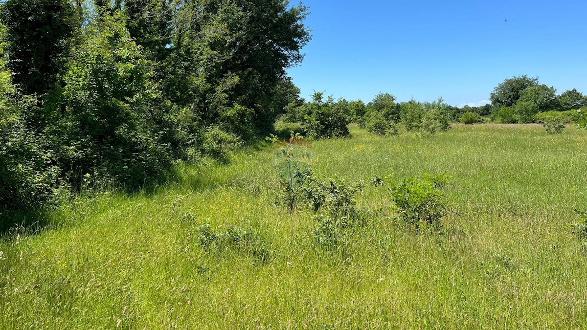 Terreno non edificabile Gradina, Sveti Lovreč, 18.670m2