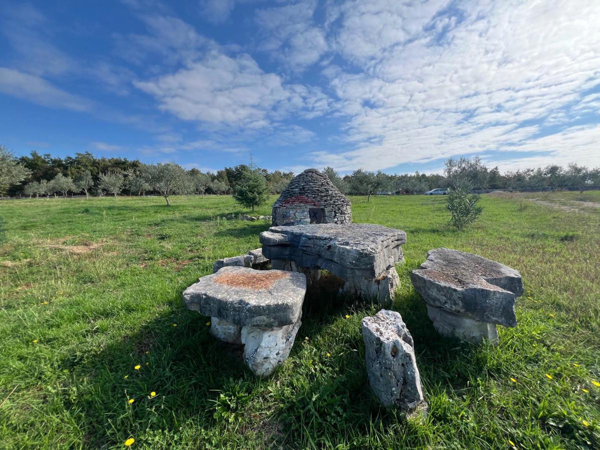 Terreno non edificabile Vodnjan, 13.842m2