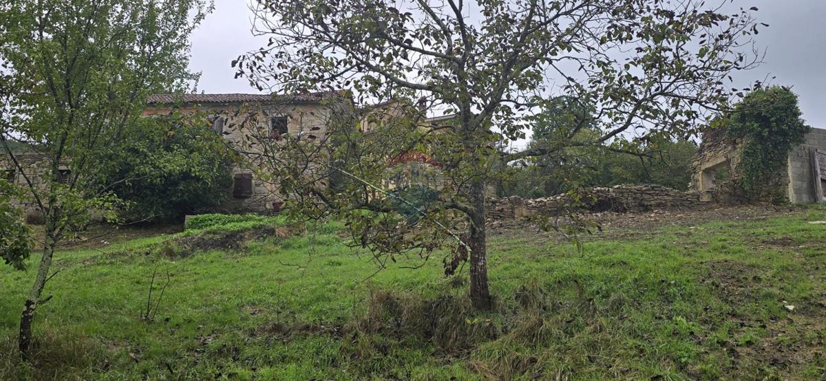 Casa Sovinjak, Buzet, 57.356m2