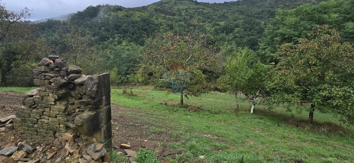 Casa Sovinjak, Buzet, 57.356m2
