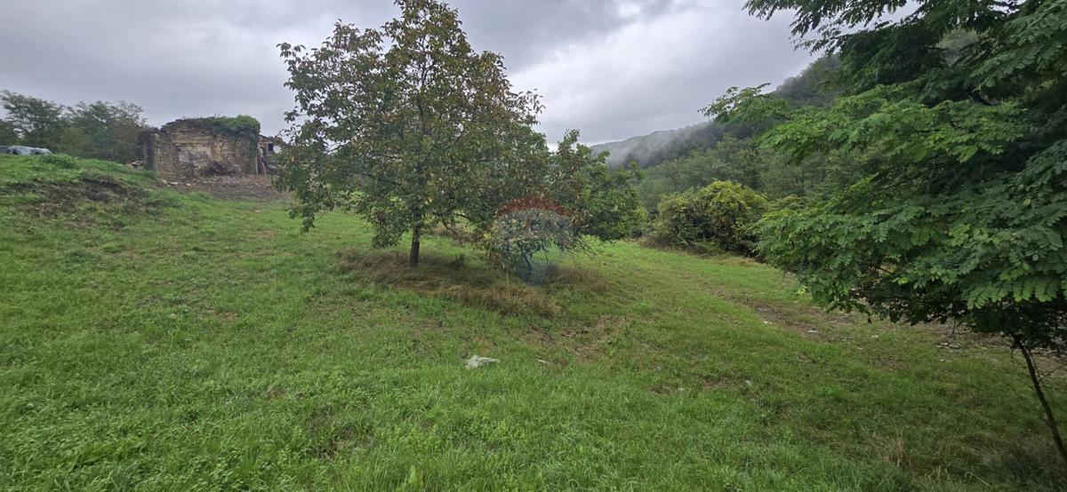 Casa Sovinjak, Buzet, 57.356m2